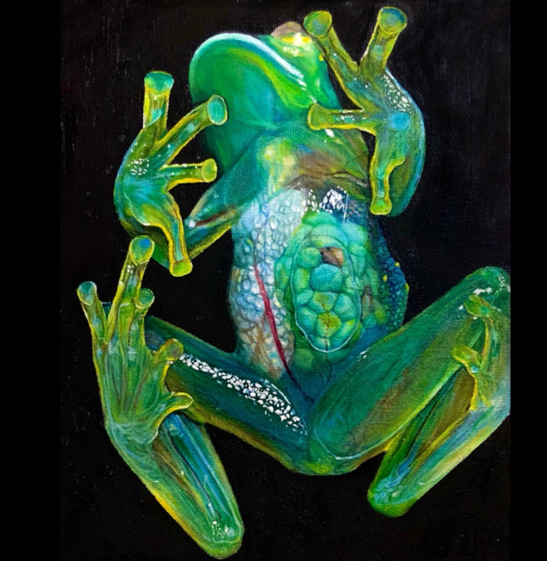 Frog painting